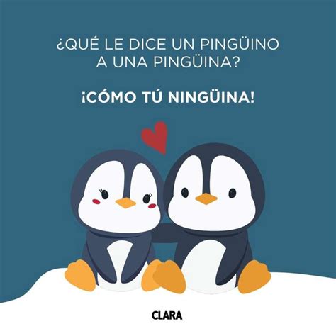 chistes sin sentido|250 chistes malos y cortos que al final dan risa